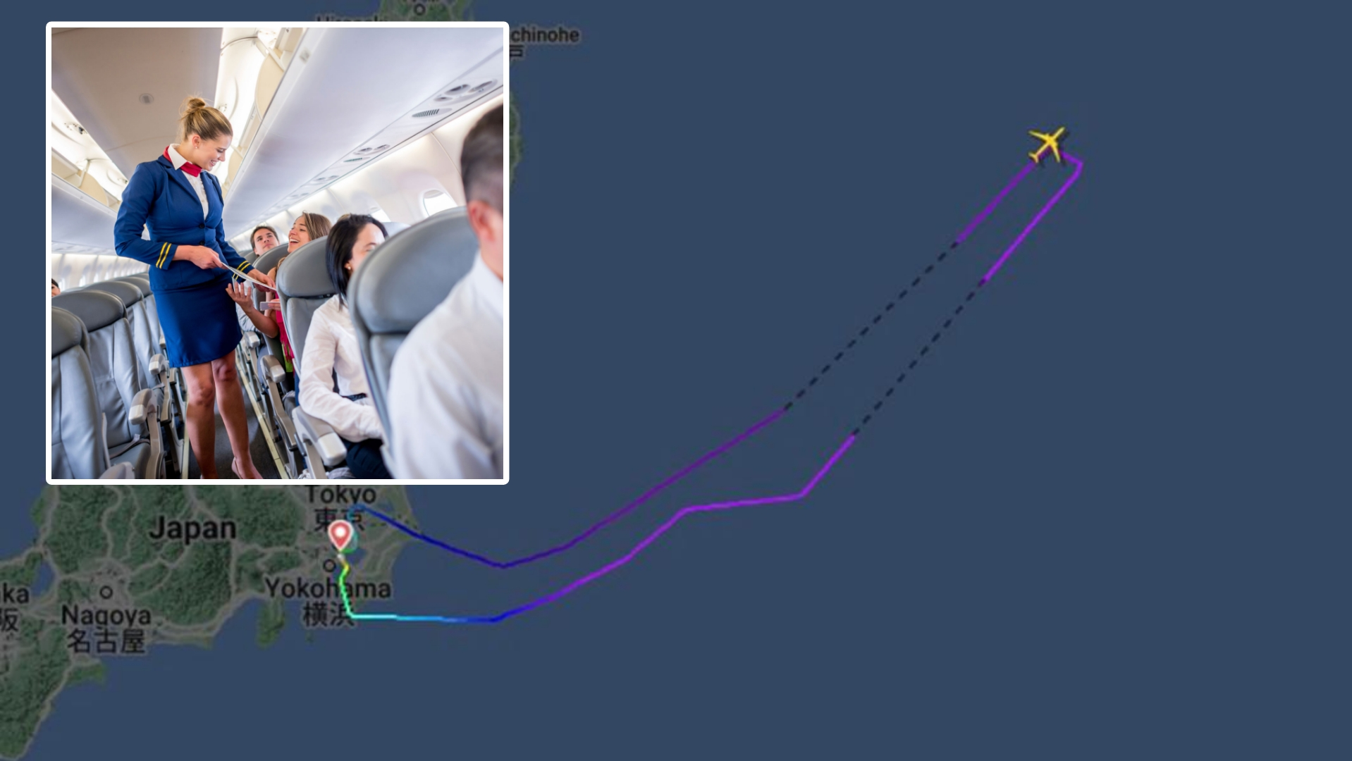 Pasajero muerde a una azafata y obliga al avión a regresar al aeropuerto en Japón