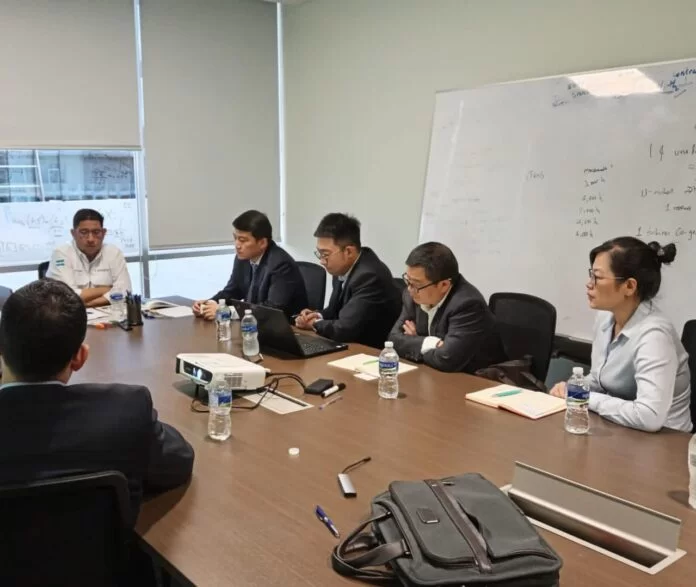 Energy China es la empresa ganadora para generar 80 megawatts