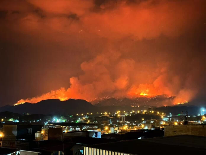 Terrible incendio forestal a inmediaciones de La Tigra