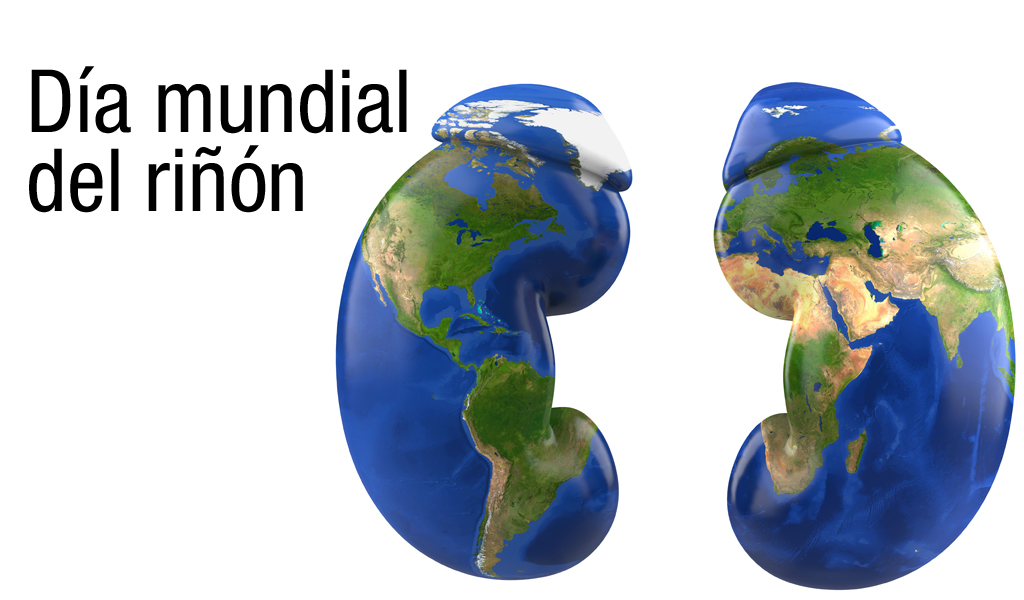 14 de marzo: “Día Internacional del Riñón”