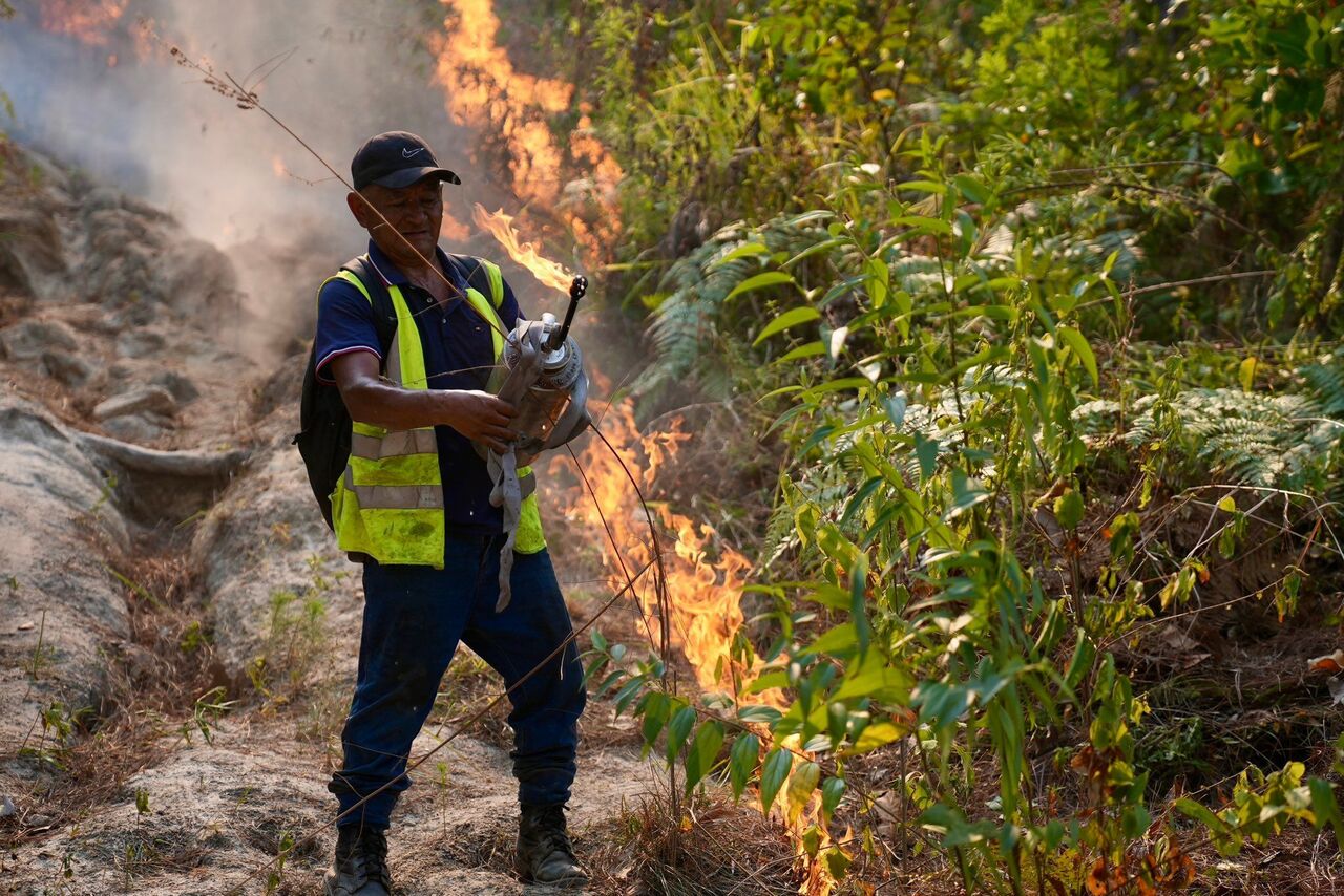 Incendio en El Merendón ya está controlado, según el ICF