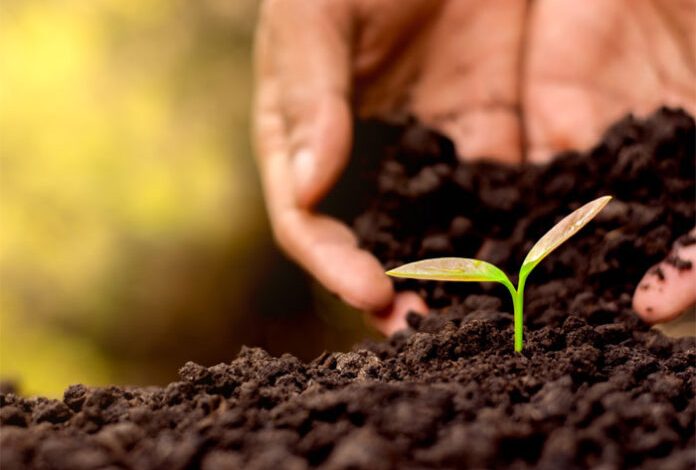 Congreso Nacional analizará quemas agrícolas del sector azucarero en el país