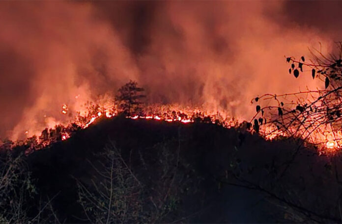 Voraz incendio avanza en la Sierra de Agalta