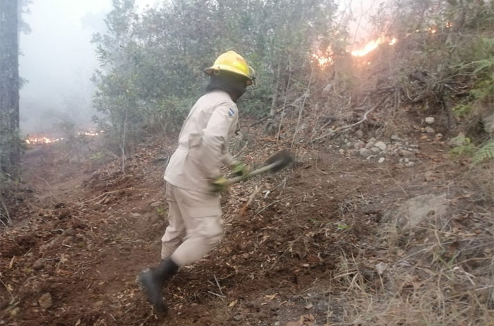 Incendio forestal consume ocho hectáreas de bosque en la periferia de la capital