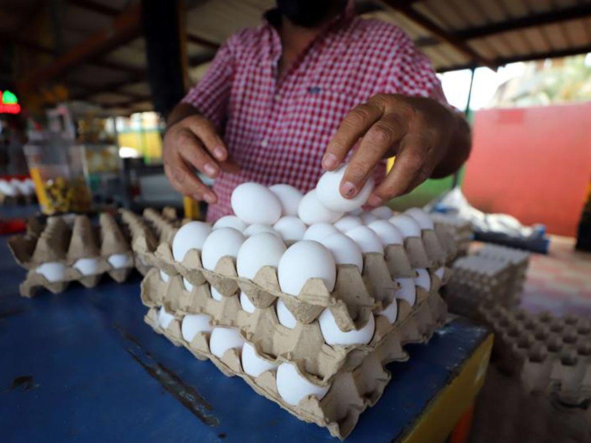Mercados capitalinos mantienen a L.75 el cartón de huevos