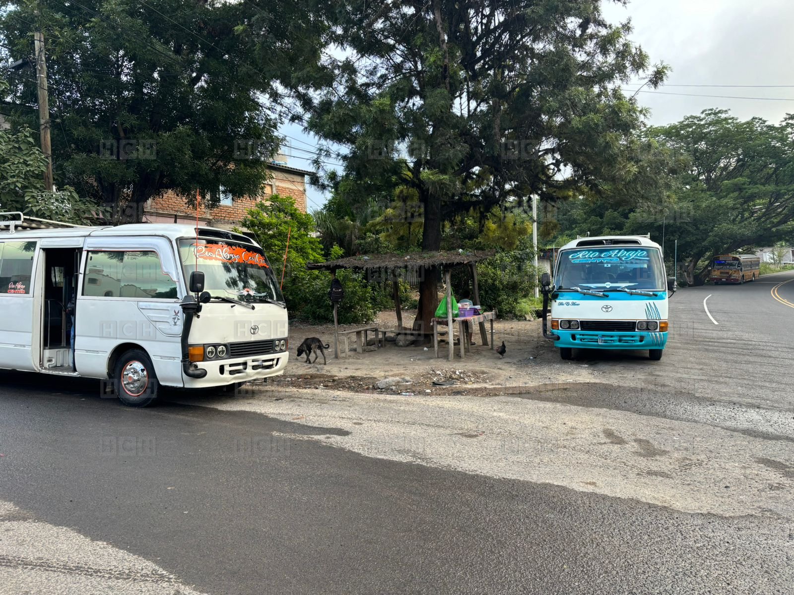 Extorsión pone de rodillas a transportistas y paralizan ruta Río Abajo – Centro en Tegucigalpa