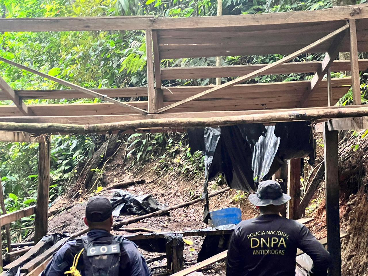 Policía Nacional asegura 50,000 arbustos de hoja de coca y un laboratorio rústico en Colón