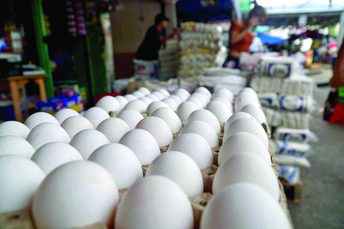 ¡Canasta básica sigue por las nubes! Tres lempiras incrementa precio del cartón de huevos en Tegucigalpa