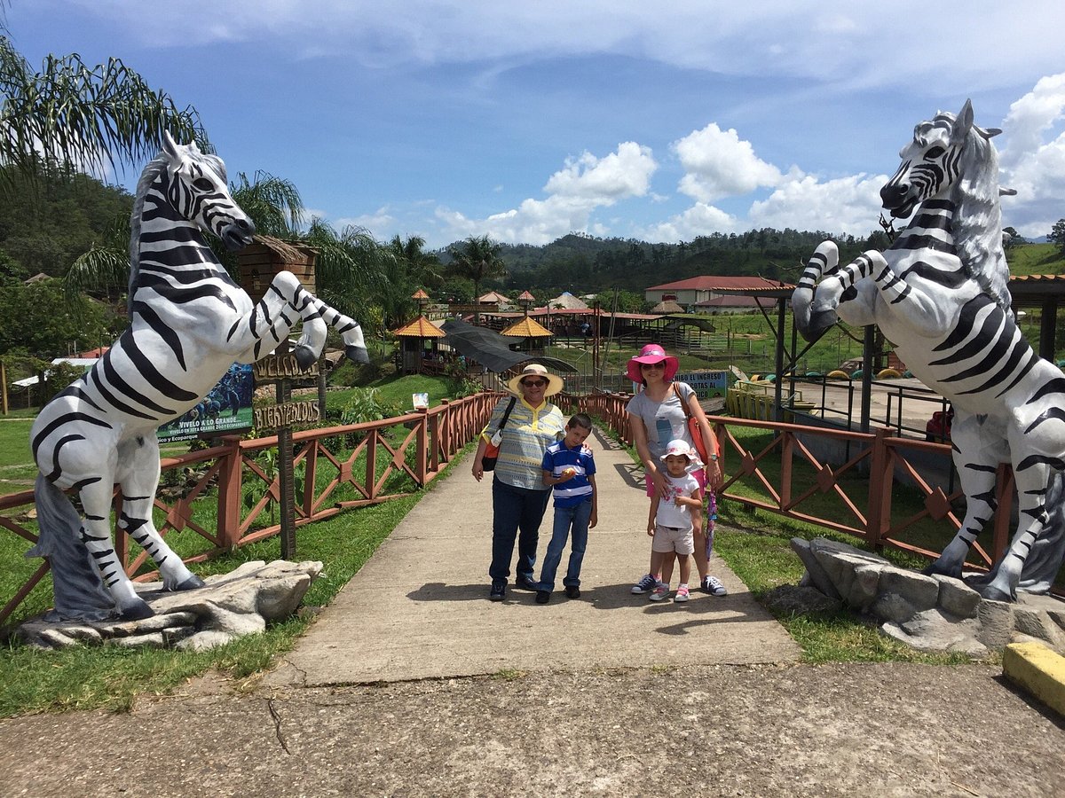 Zoológico Joya Grande reabrirá sus puertas el 1 de septiembre 