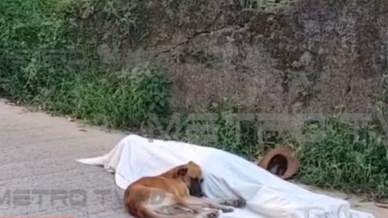 ¡Conmovedor! Perro fiel permaneció junto al cadáver de su amo en Choluteca