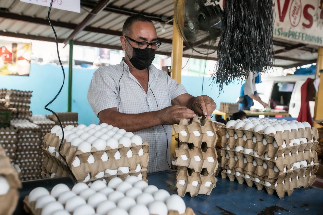 Fiscalía del Consumidor intensifica operativos para controlar el precio de los huevos en Tegucigalpa