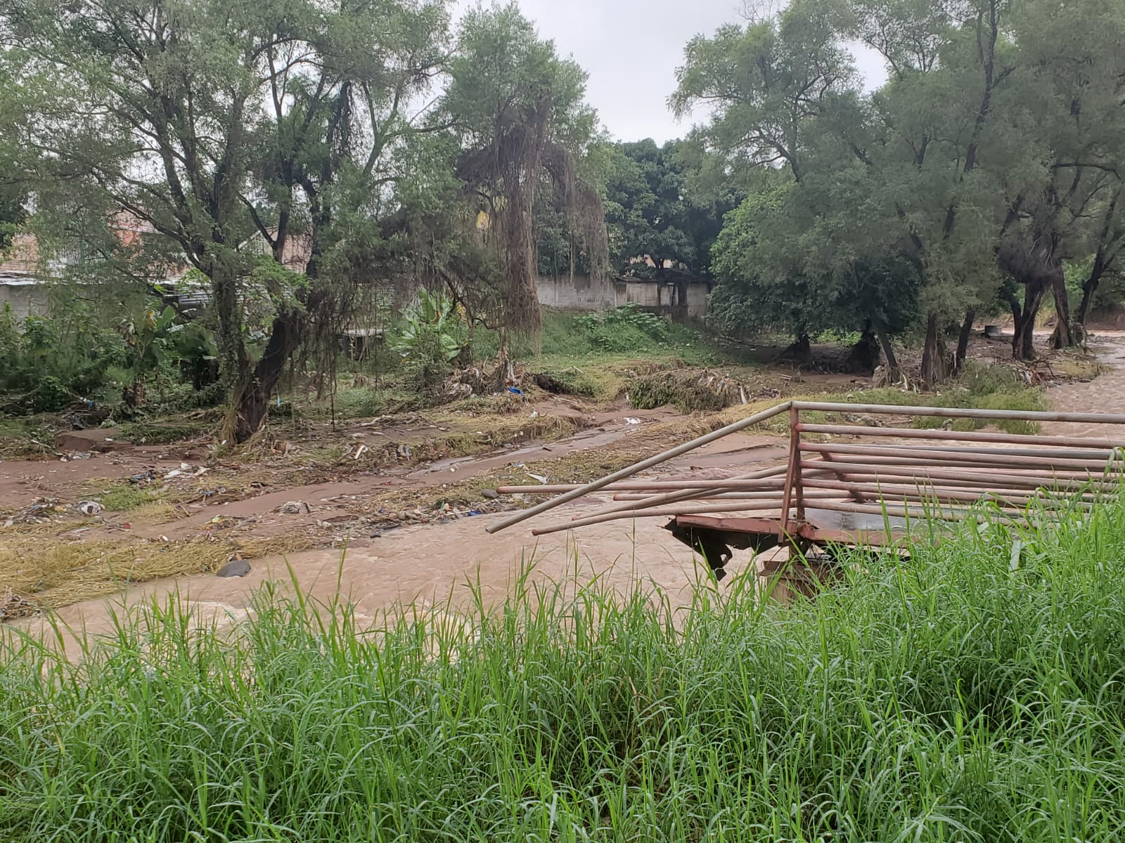 En zozobra capitalinos que viven a orilla del río Choluteca por torrenciales lluvias que han dejado graves daños a varios hogares