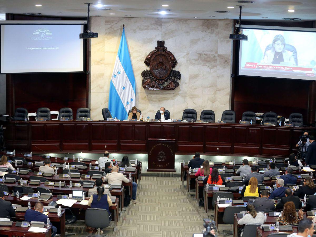 Diputado de Libre denuncia ausentismo del 50% en sesiones del Congreso Nacional