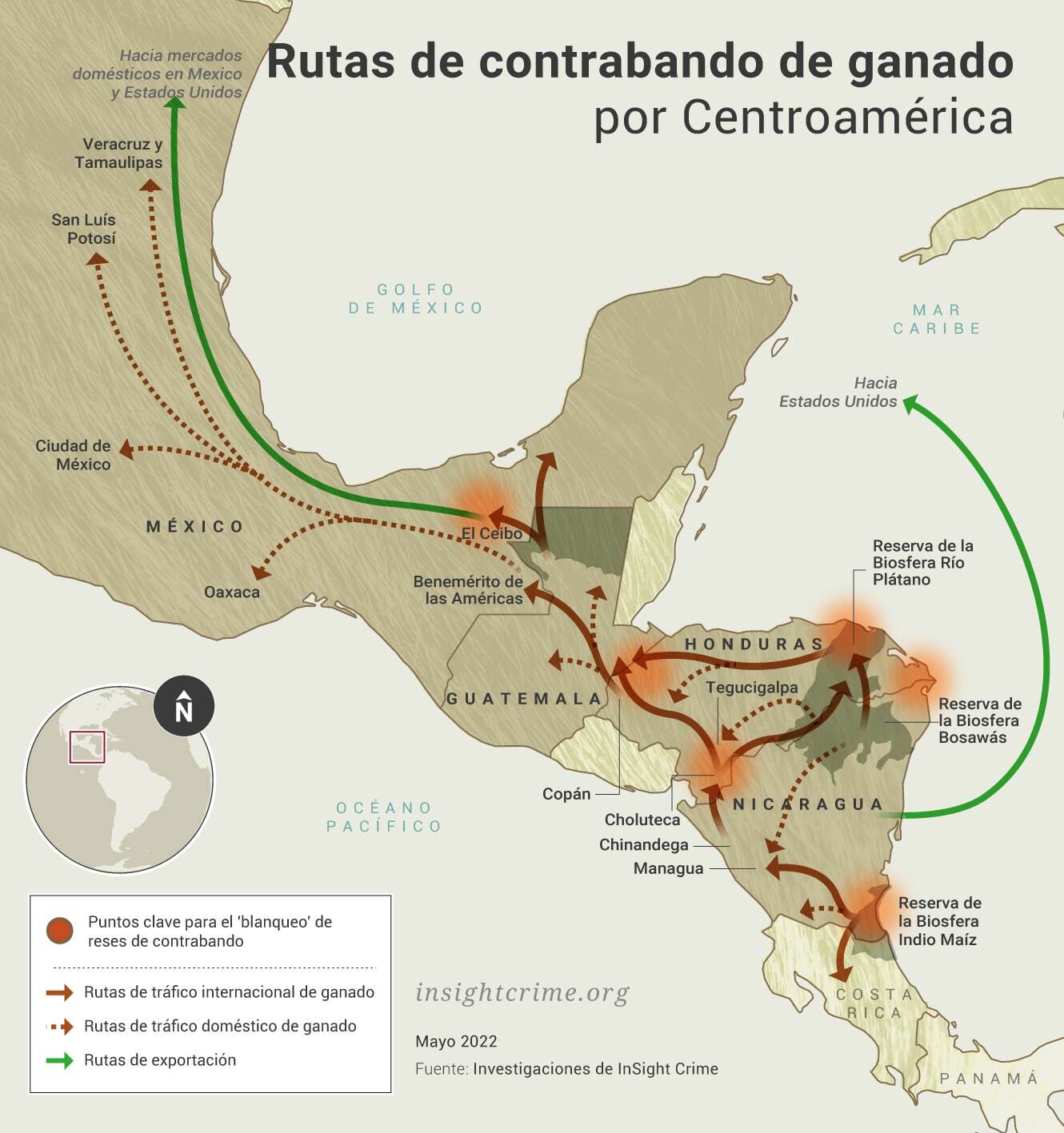 Las entrañas del contrabando de ganado de Centroamérica hacia México