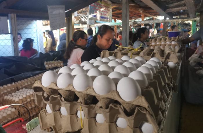 Cartón de huevos incrementa cinco lempiras en Tegucigalpa