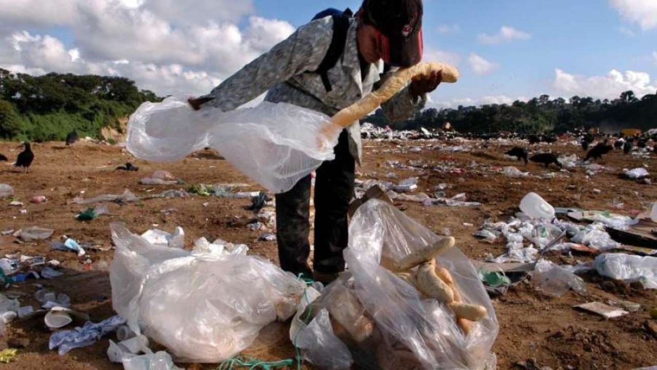 Encuesta de CID Gallup evidencia la deficiencia de seguridad alimentaria en el país