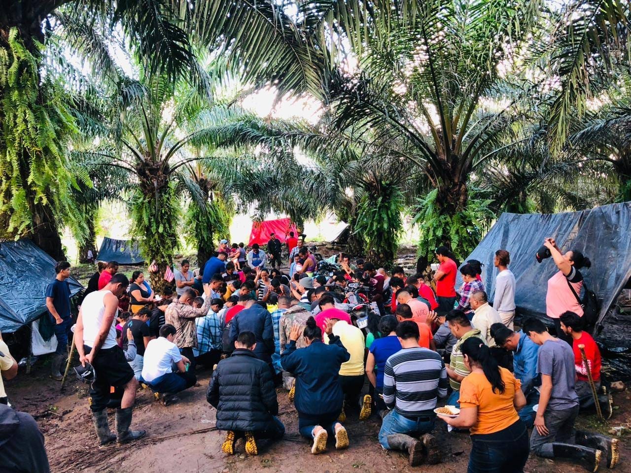 OACNUDH insta al Gobierno a proteger a campesinos tras fuerte confrontación en el Bajo Aguán