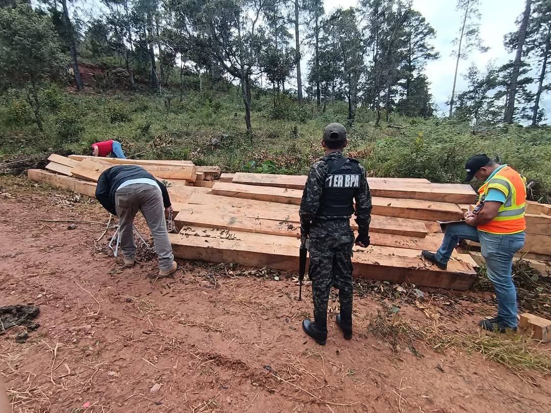 Fuerzas Armadas decomisan más de 8,700 pies tablares de madera tras identificar tala ilegal en Olancho