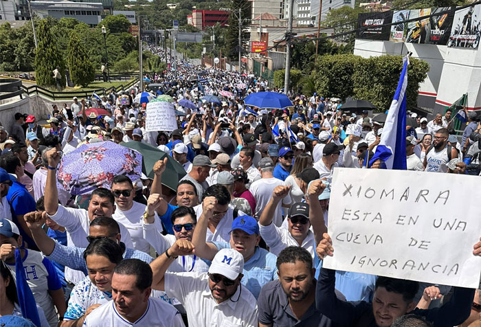 ¿Qué hará la Secretaría de Seguridad a quienes realicen protestas en Honduras?