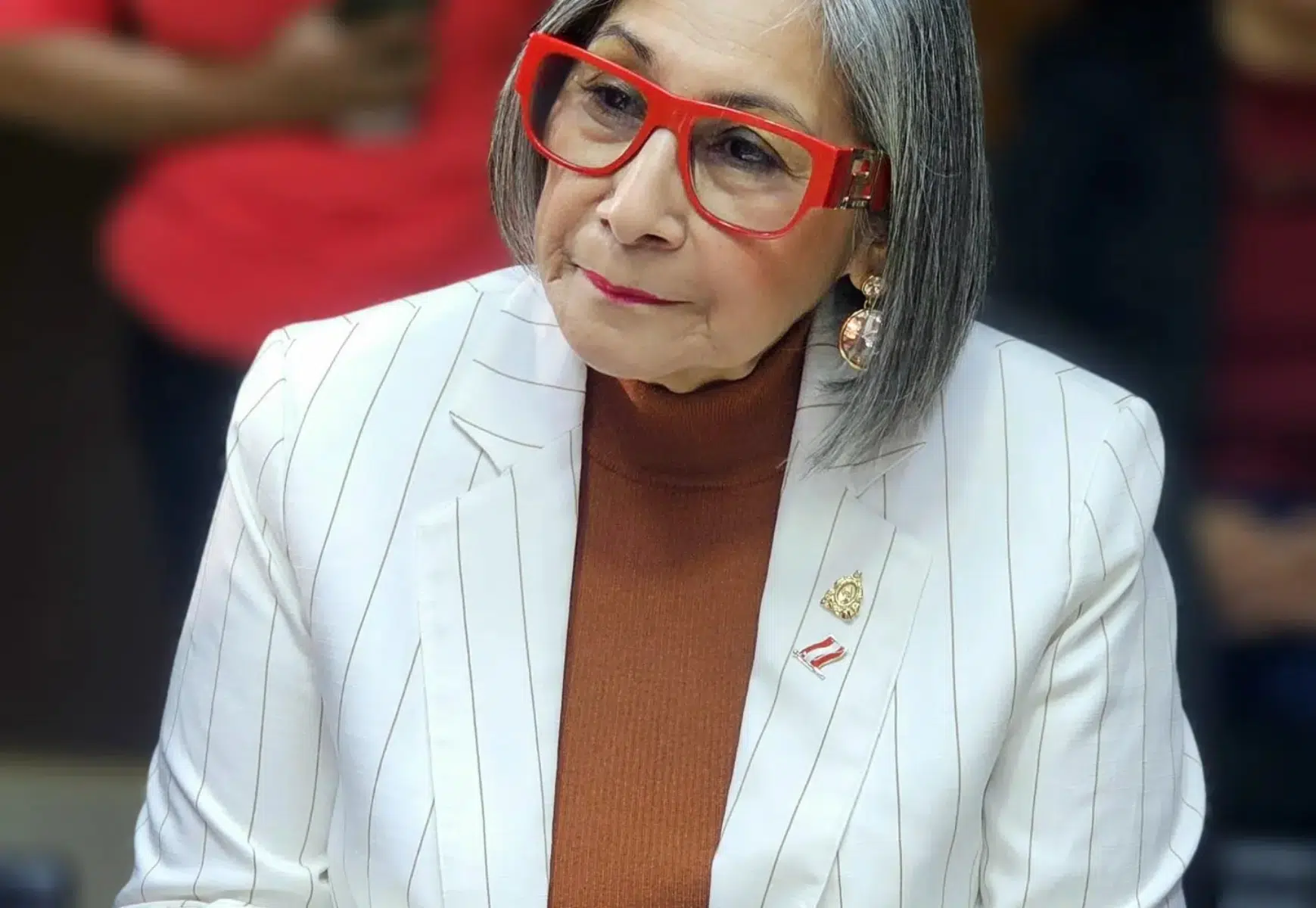 Maribel Espinoza: “Preocuparía mucho que todos los poderes del Estado, aglutinados ilegalmente en el Consejo Nacional de Defensa y seguridad estén protegiendo a los conspiradores”