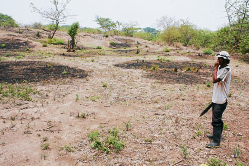 Incoherencias en gestión ambiental ponen en entredicho discurso gubernamental de lucha contra el cambio climático