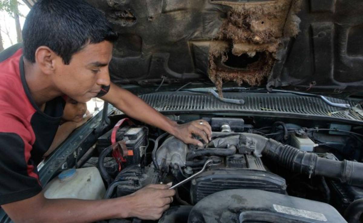 Estas son las carreras técnicas en Honduras con duración menor a los dos años