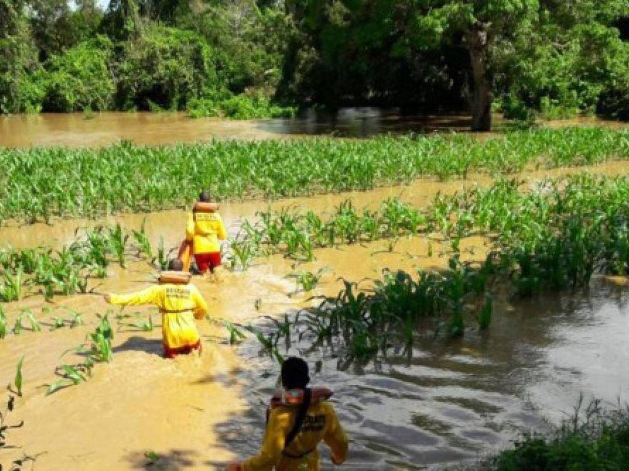 Fuertes lluvias golpean al agro en el norte del país y dejan más de 6 mil familias y hasta 3 mil productores afectados por temporal