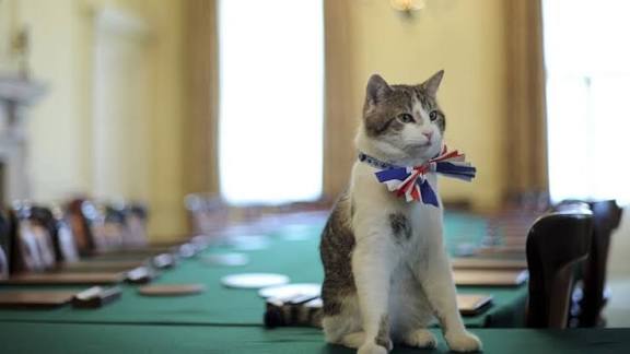 Larry, el gato de Downing Street, espera ya al próximo primer ministro de Reino Unido, Keir Starmer