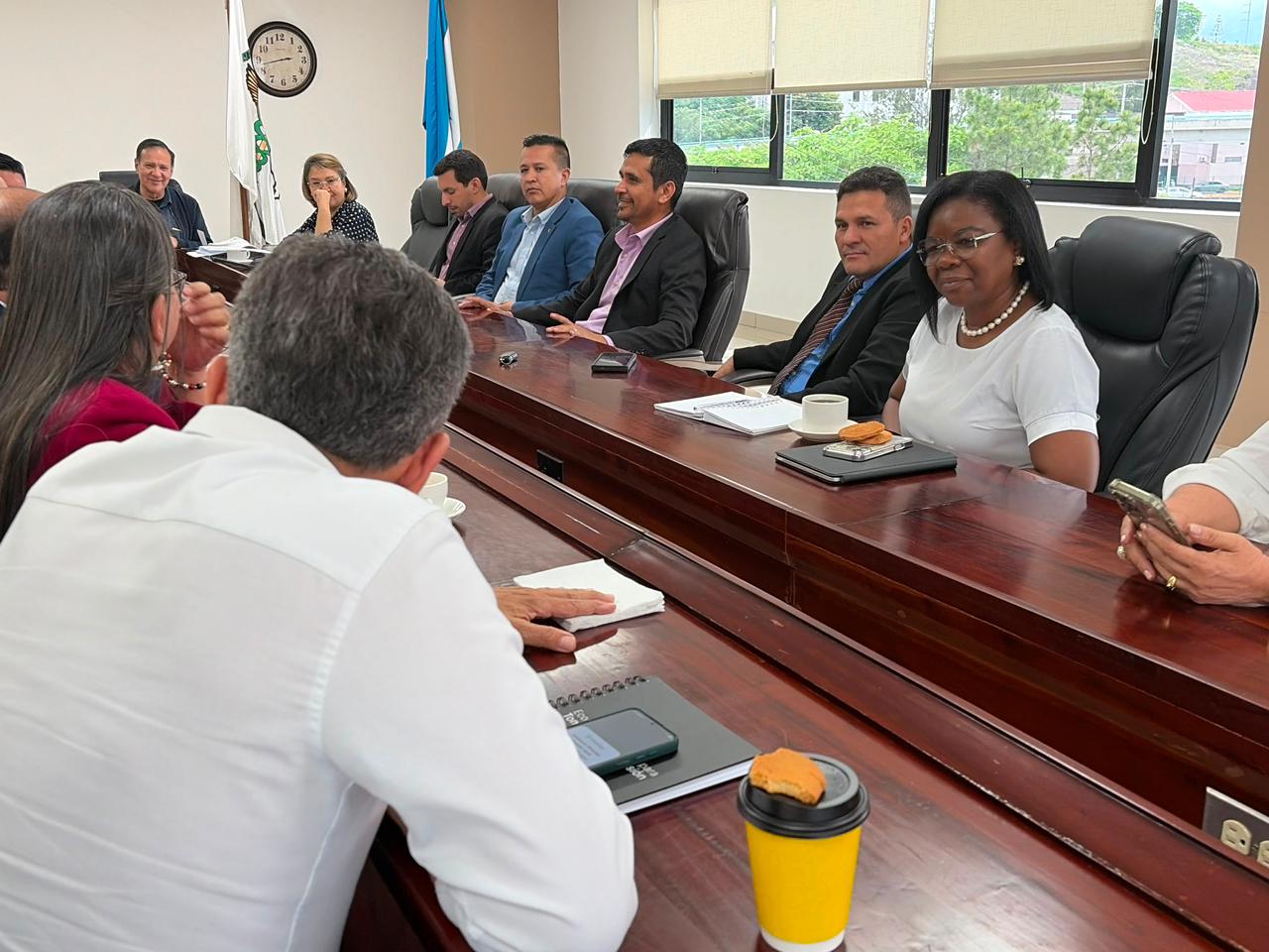 Comisión de Salud del Congreso y Colegio Médico buscan consensos ante crisis del sistema sanitario