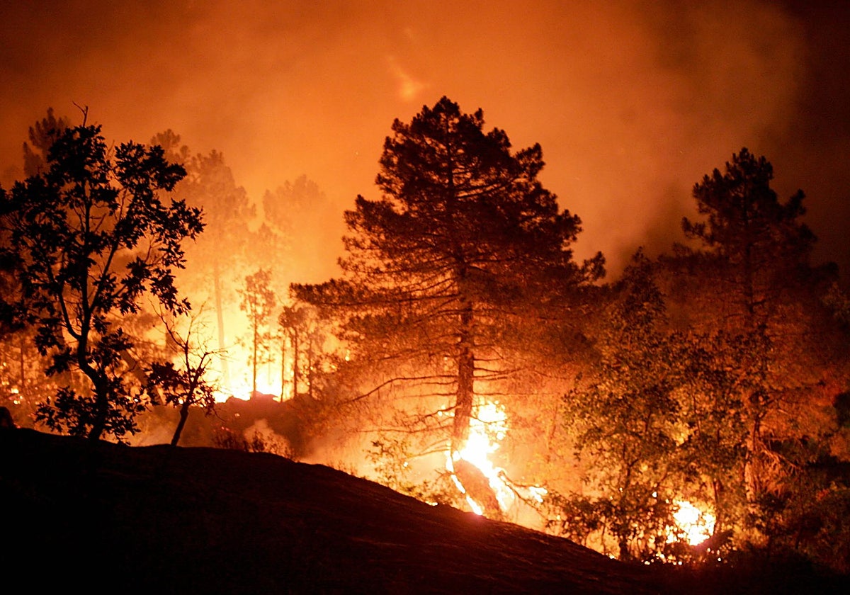 Tragedia forestal en España: incendio deja 12 muertos y decenas de desaparecidos