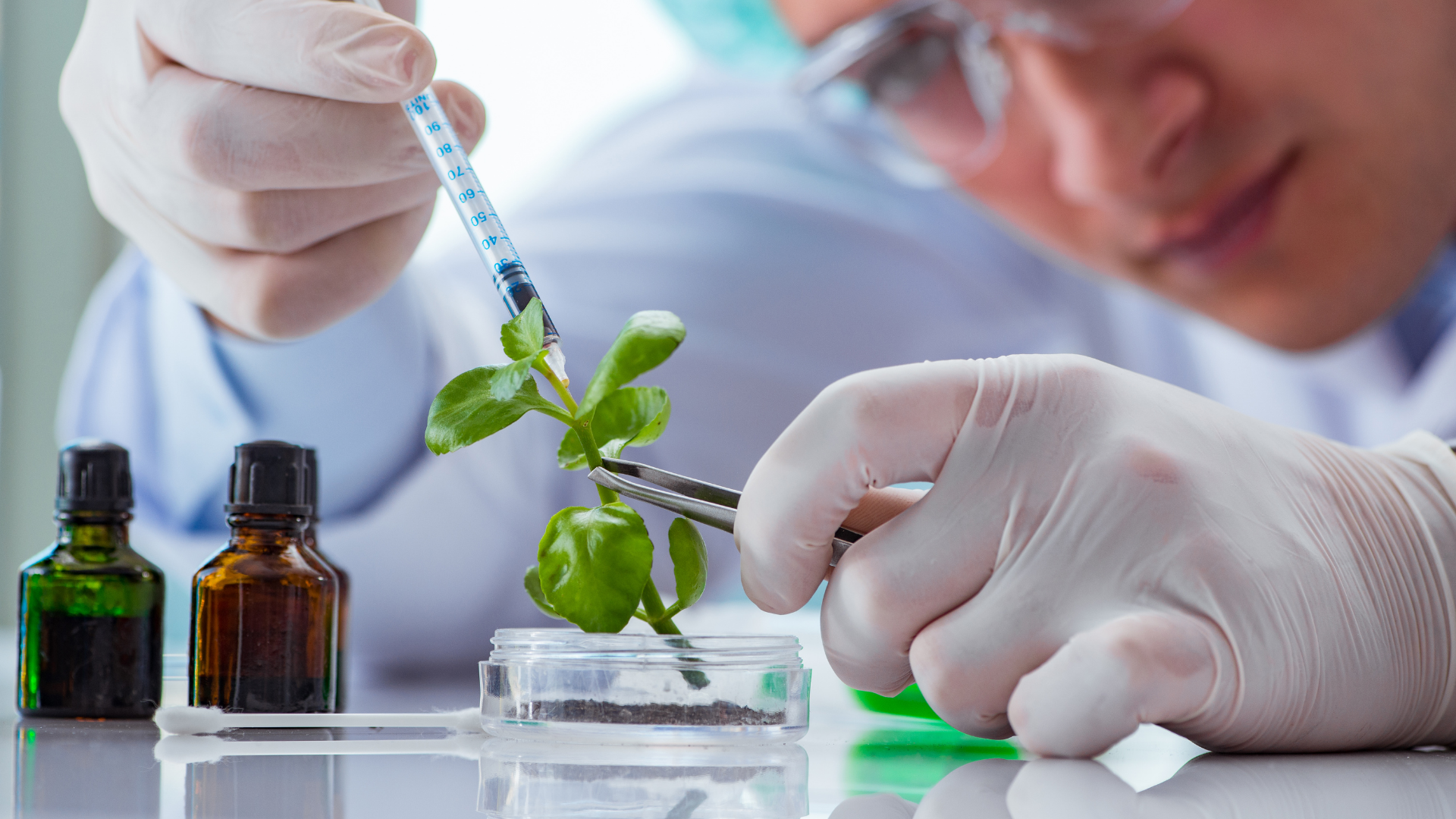 Alianza entre Próspera y Merck abre la puerta a una nueva era de innovación en Honduras