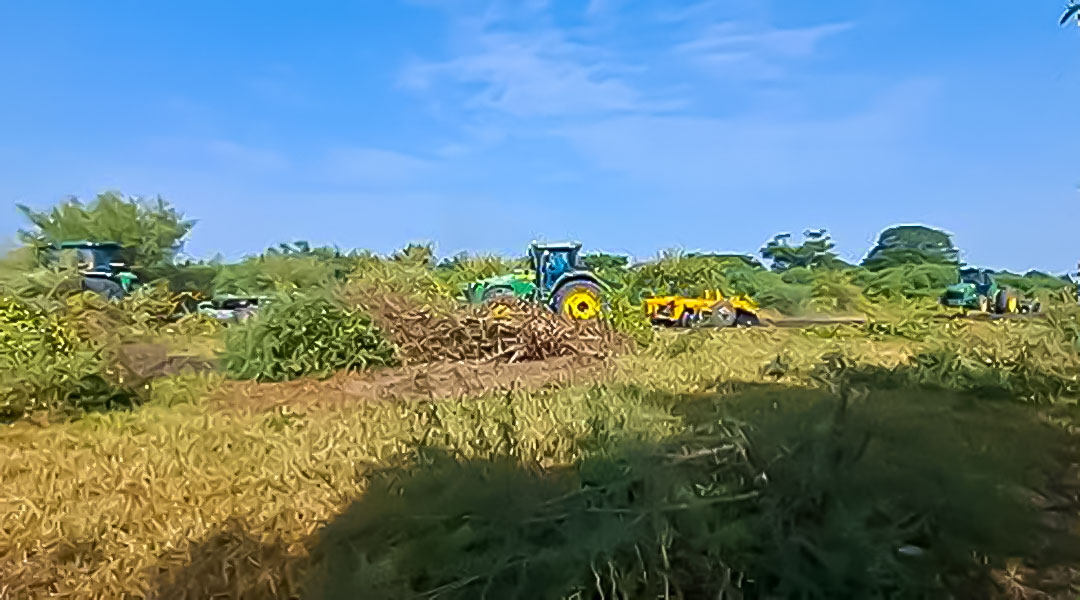 Desalojan a 86 familias de unas mil manzanas de terreno en Marcovia