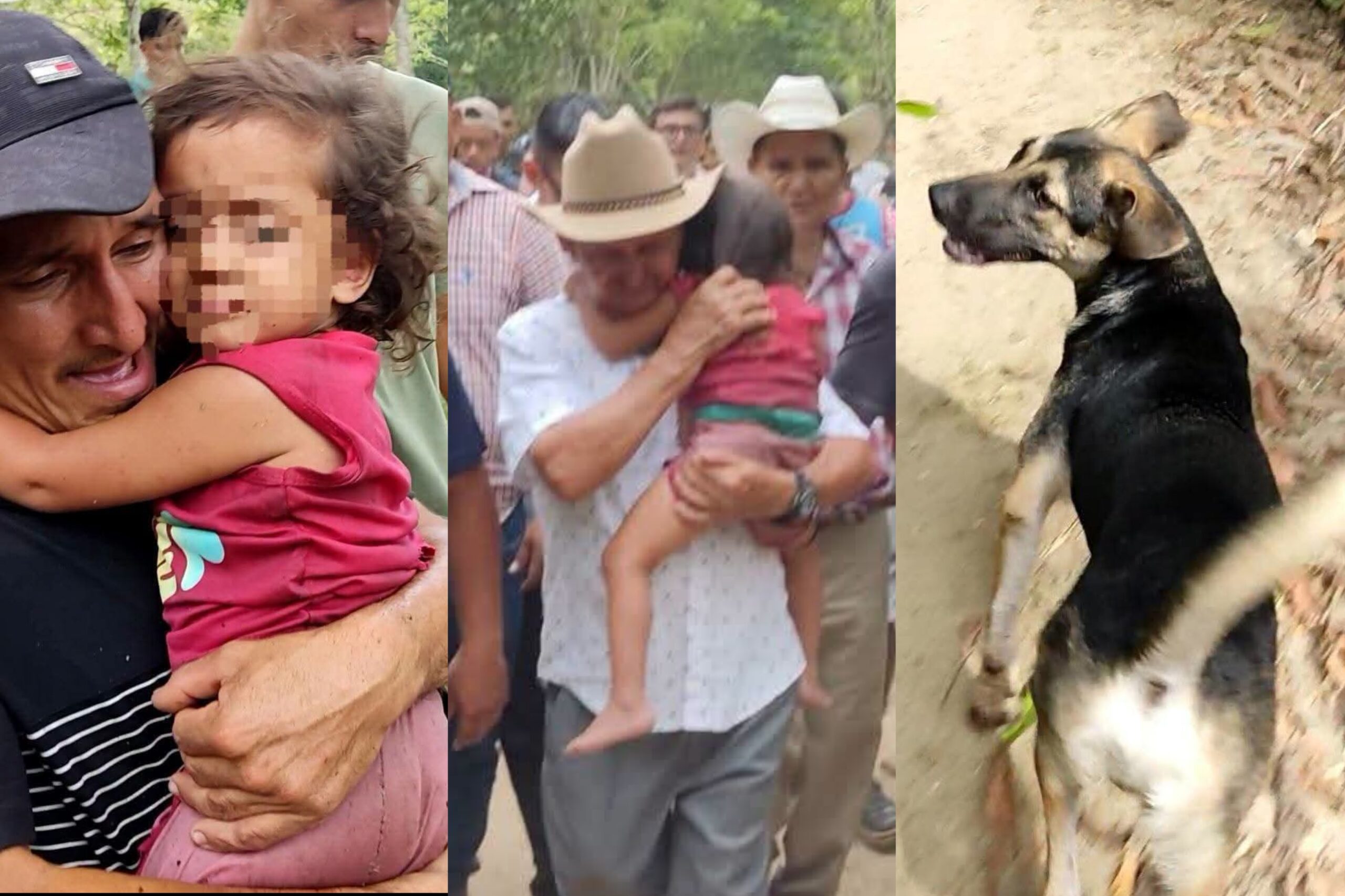 Perro siguió su rastro y ayudó a encontrar a niña de 3 años desaparecida en Colón