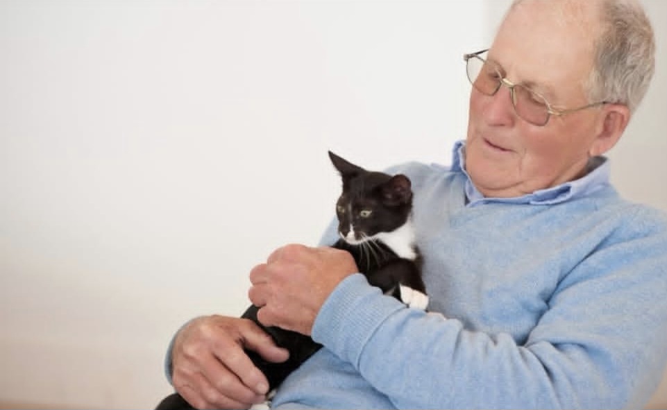 Hombre de 82 años ofrece toda su herencia a quien cuide de su gata hasta su muerte