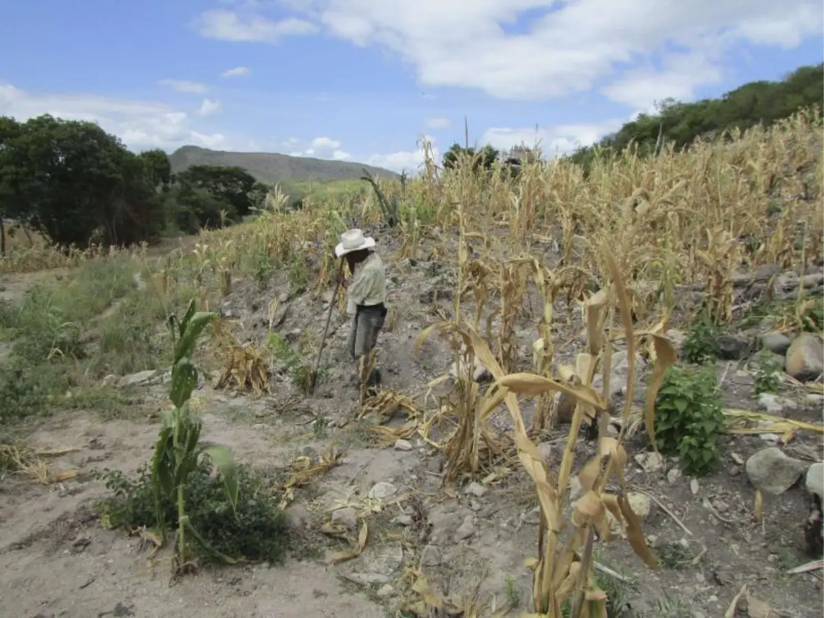 Experto de la UNAH advierte que falta de planificación agrava la vulnerabilidad climática en Honduras