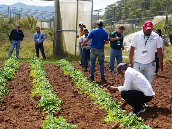 Entra en vigor alivio financiero para productores agropecuarios de seis departamentos