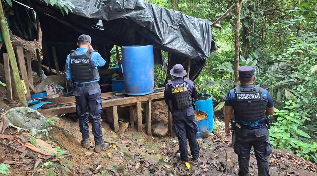 Policía localiza unos 70 mil arbustos de coca y una zona de procesamiento en Tela