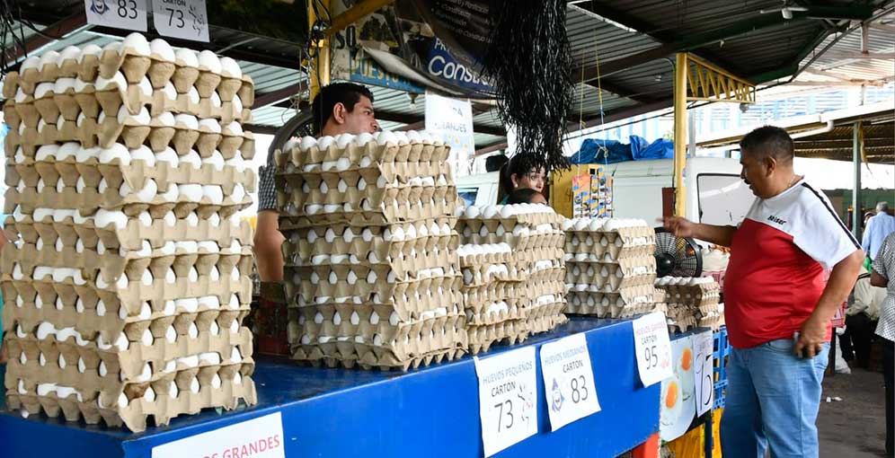 ¡Preocupante! Cartón de huevos acumula alza de L33 en cuatro incrementos durante tres meses