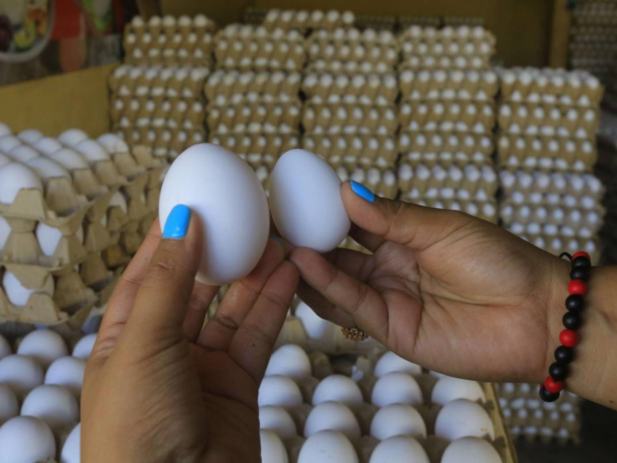 Gobierno y avicultores pactan reducción al precio de los huevos