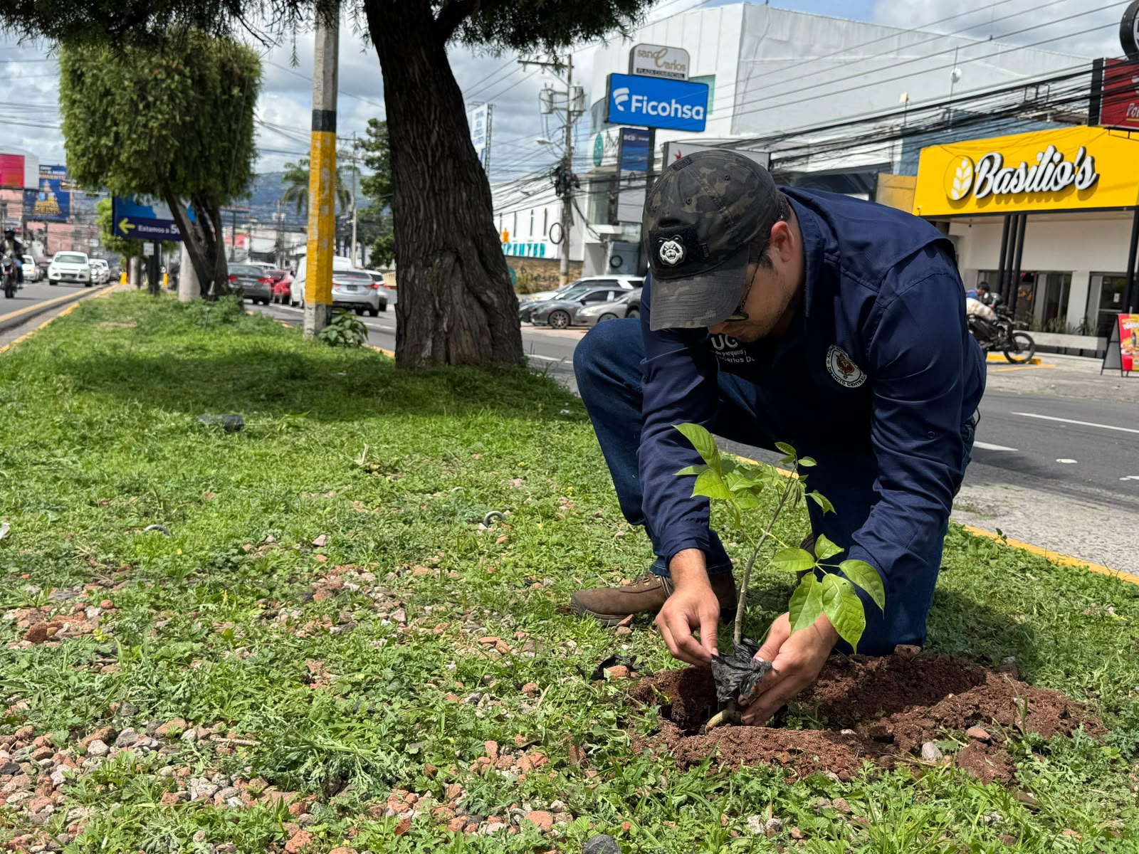 AMDC siembra más de 40 mil plantas para recuperar áreas verdes en la capital