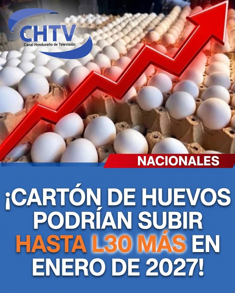 ¡PREPARE EL BOLSILLO! EL CARTÓN DE HUEVOS PODRÍA SUBIR HASTA L30 MÁS EN LOS PRÓXIMOS MESES